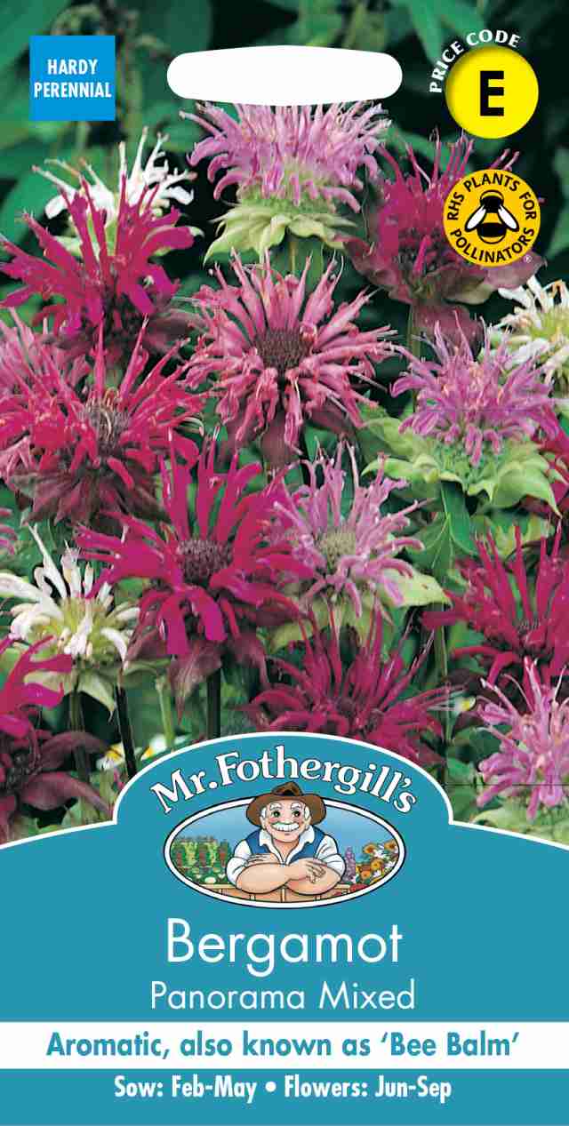 Mr.Fothergills Seeds Bergamot Panorama Mixed ベルガモット パノラマ